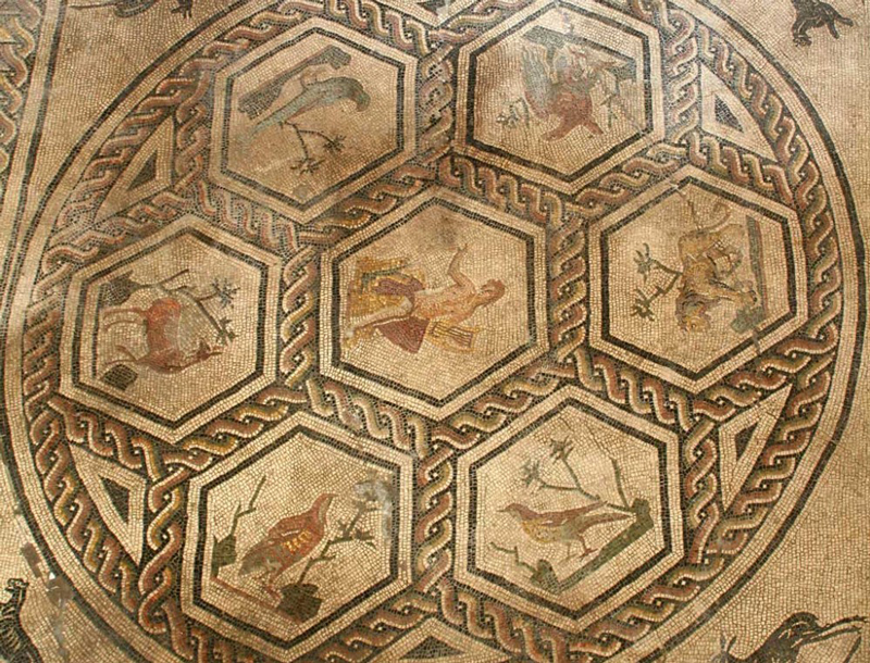 mosaico orfeo con animali domus rimini